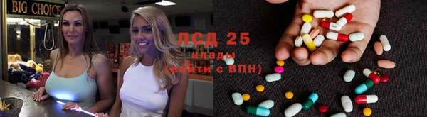 spice Арсеньев