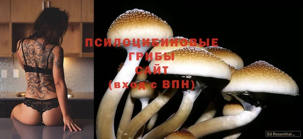 гашишное масло Балахна