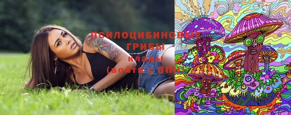 крисы Балабаново