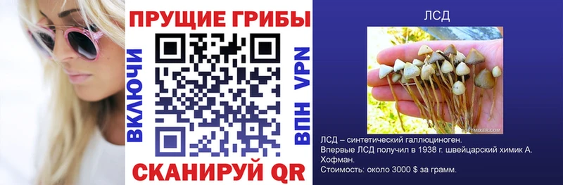 Псилоцибиновые грибы Psilocybine cubensis  сколько стоит  Черемхово 