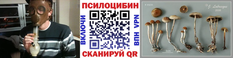 Галлюциногенные грибы мицелий Черемхово